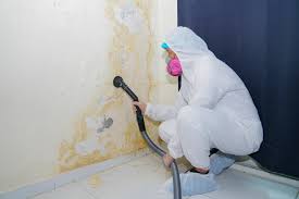 Best Mold Removal for HVAC Installations  in Pierce, NE